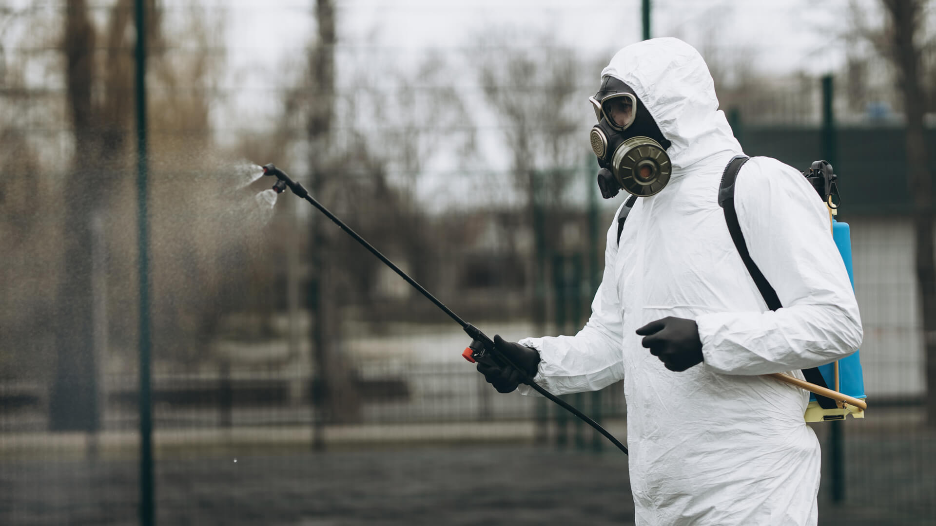 uyuz ilaçlama, pire ilaçlama şirketi